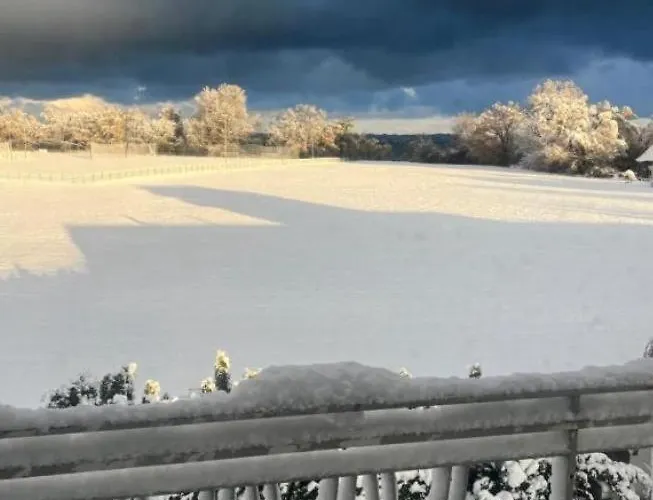 Seeblick Bodensee 8 Free Parking Free Internet